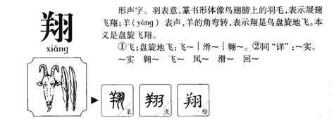 翔五行|翔字的五行属什么